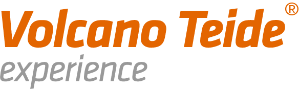 Logo Volcano Teide